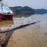 湖面に座礁した赤いスワン号と静寂の水辺風景の写真