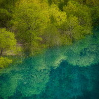 東山魁夷の絵のような玉川ダムの水没林と水鏡の写真