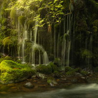 森の中に滲み出る雪解け水と渓流、苔むした岩場を流れ落ちる小さな滝の写真
