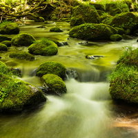 苔むした岩石と清流の水の流れの写真
