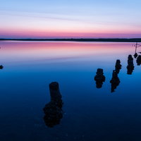 蒲生干潟の夜明け、木杭が並ぶ干潟に朝焼けが映るの写真