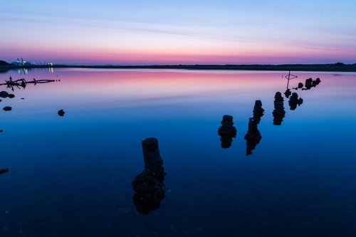 蒲生干潟の夜明け、木杭が並ぶ干潟に朝焼けが映る