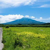 野原の先に春の岩木山（いわきさん）を望む青森の風景の写真
