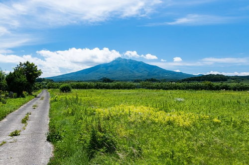野原の先に春の岩木山（いわきさん）を望む青森の風景