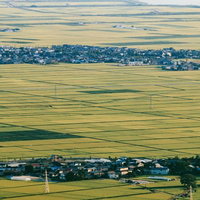 秋田県井川町の広大な田園と農家集落が広がる農村風景の写真
