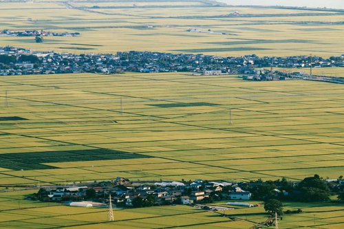 秋田県井川町の広大な田園と農家集落が広がる農村風景