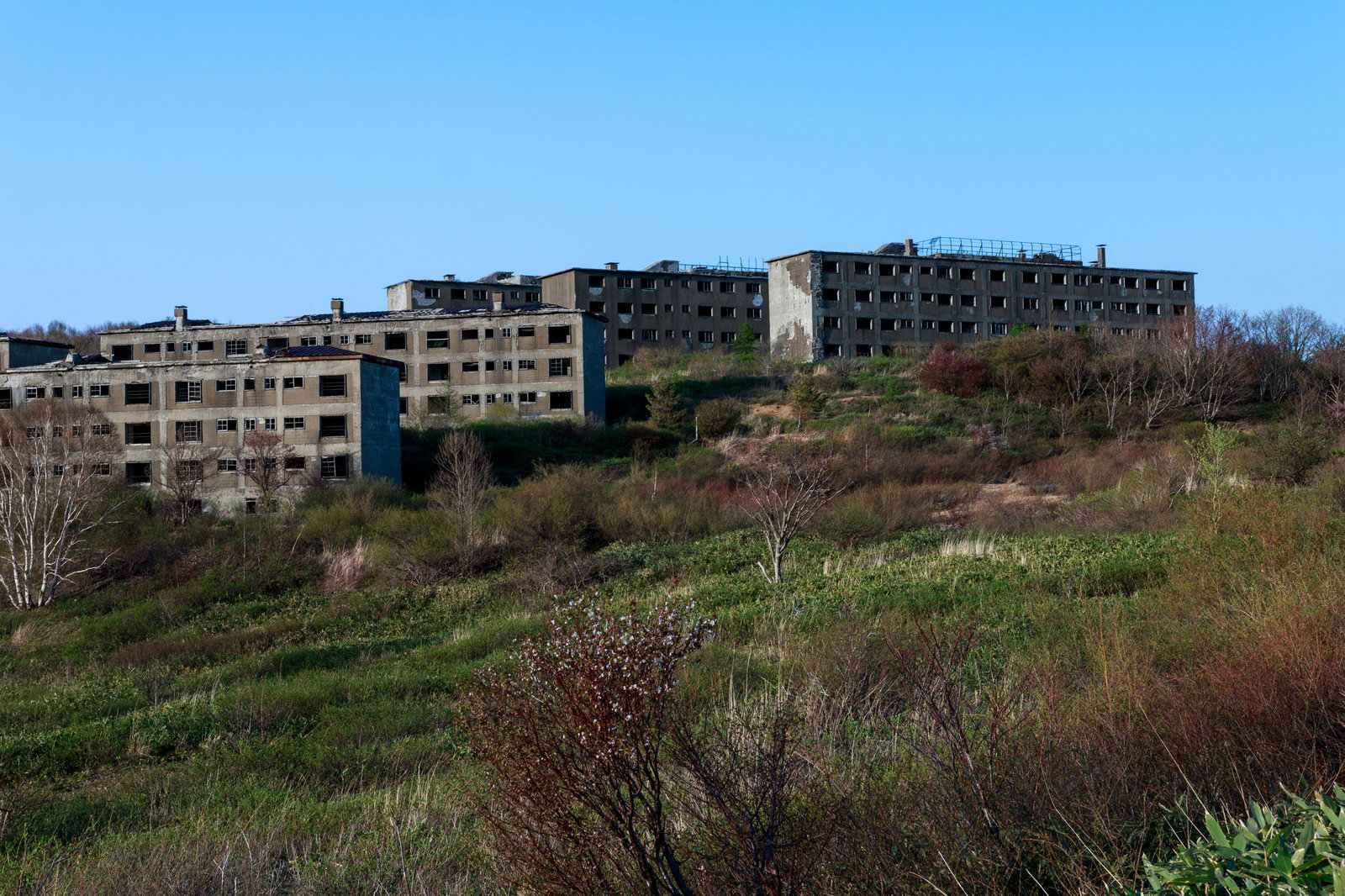 高台に建つ廃墟の複数の団地建物が斜面に立ち並び、周囲には雑草が生い茂っている
