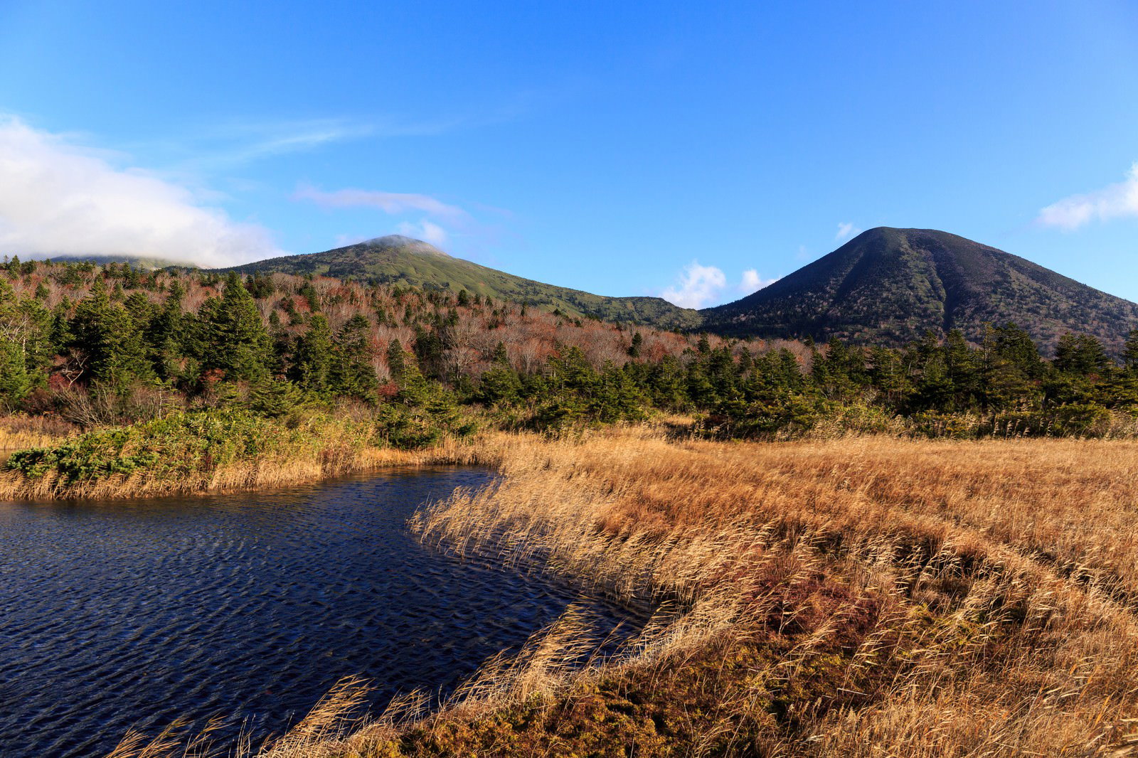 晩秋の八甲田山。手前に枯れ草の湿原と沼があり、背後に紅葉した山々が見える