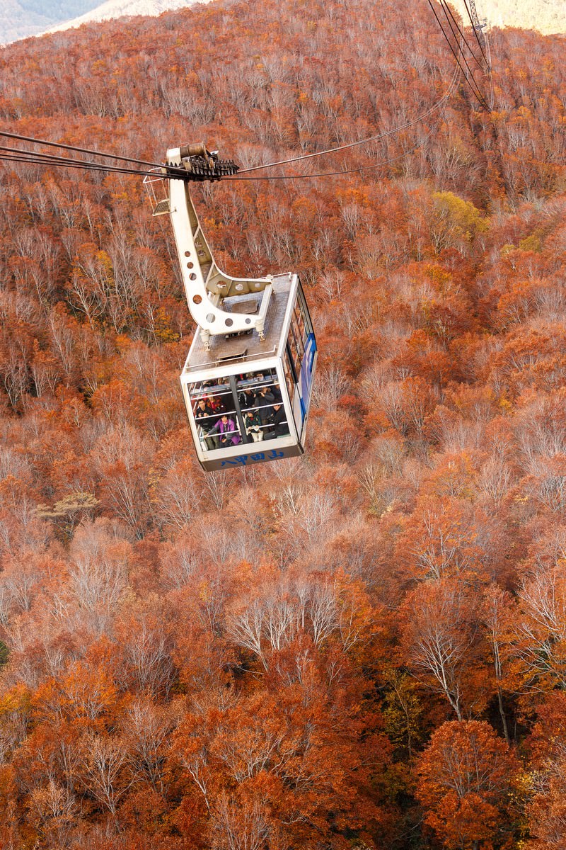 八甲田山の紅葉と黄葉した山々の上を走るロープウェイのゴンドラ