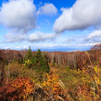 八甲田の紅葉と青緑の湖面の写真