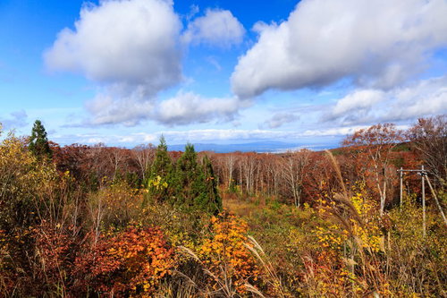 八甲田の紅葉と青緑の湖面