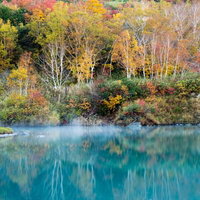 八甲田山の地獄沼で色づき始めた秋の紅葉と湯気の写真