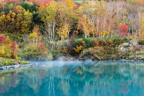 八甲田山の地獄沼で色づき始めた秋の紅葉と湯気