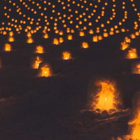 弘前の一面に広がる灯りのついたミニかまくらの写真