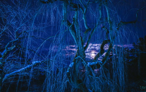 雪原を埋め尽くすキャンドルの夜景