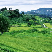 大蔵村の棚田と里山風景 山間部に広がる段々畑と農村風景の写真
