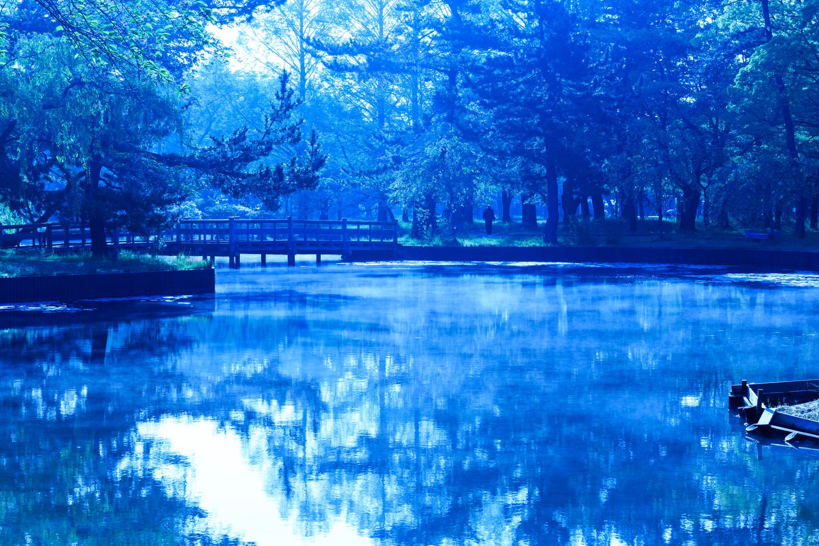 朝の公園の池に架かる木橋と水面の映り込み