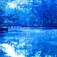 朝霧に包まれた公園の池と木橋 早朝の静寂と自然風景の写真