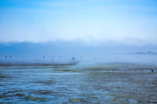 靄の中に浮かぶ多数の人影が散在する潮干狩り