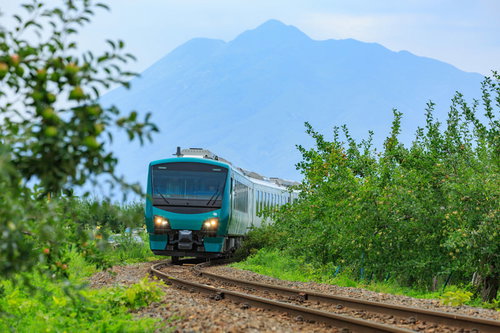 林檎畑を走るローカル線の青い列車と岩木山の風景