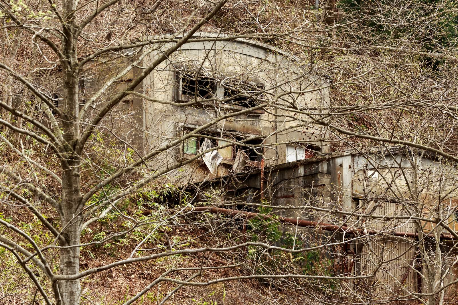 森の中に残る古遠部鉱山の廃墟建屋