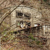 森の中の廃墟（古遠部鉱山）の写真