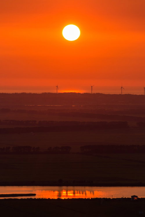 水面に映る夕日が沈む風車のある田園風景