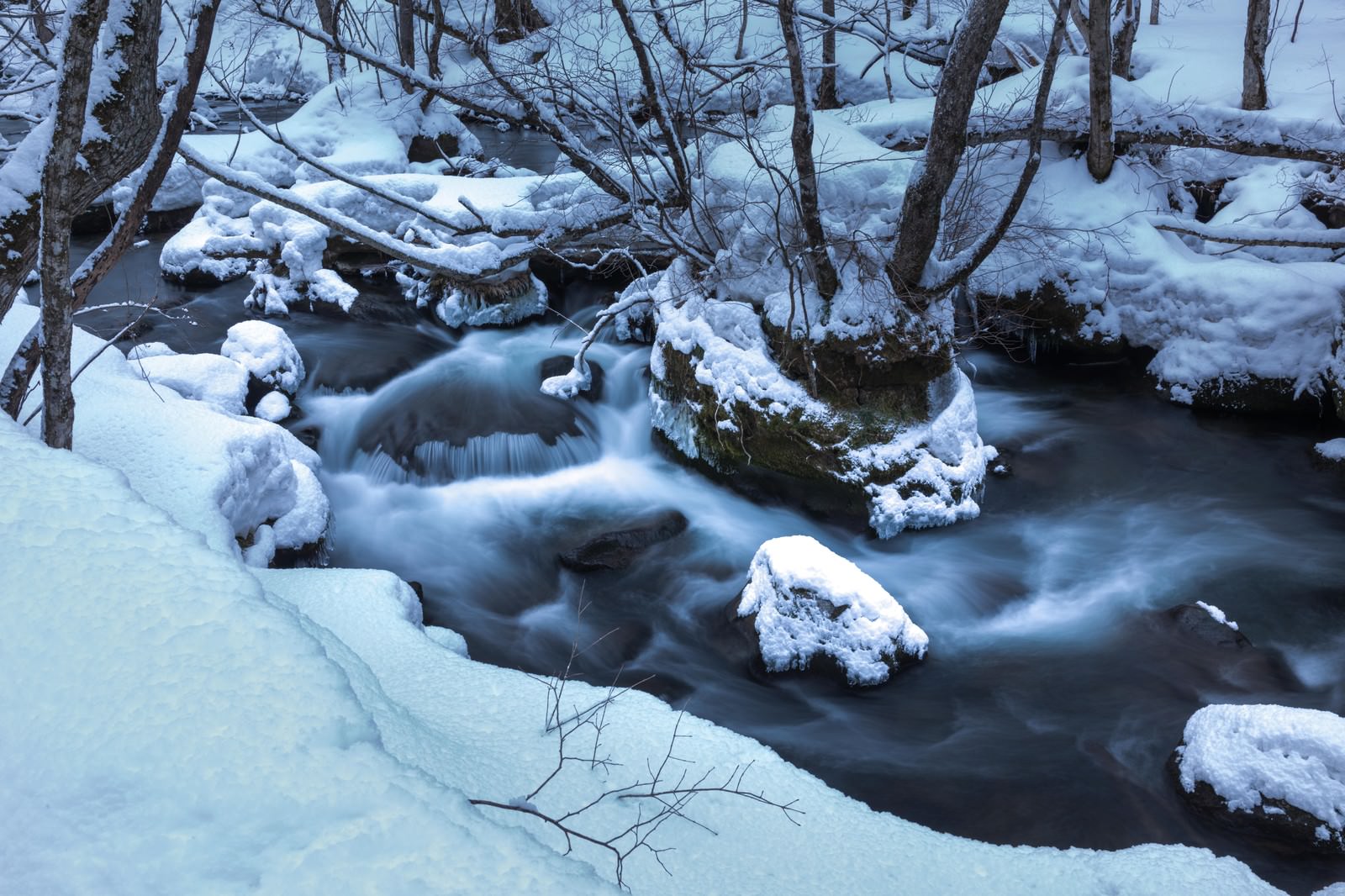 雪に覆われた樹木に囲まれた冬の奥入瀬渓流の流れ