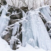 奥入瀬渓流の冬景色、岩肌に結氷した氷柱とつららの写真