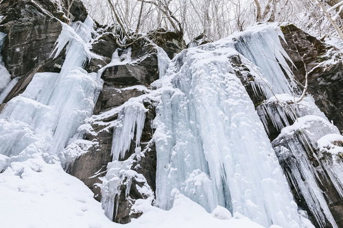 奥入瀬渓流の冬景色、岩肌に結氷した氷柱とつらら