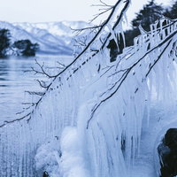 十和田湖の湖畔に付着したしぶき氷と樹氷、つららの写真