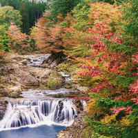 下北の川内川の紅葉と渓流、秋の渓谷風景の写真