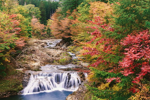 下北の川内川の紅葉と渓流、秋の渓谷風景