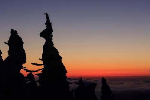 夕暮れの山頂に立つ樹氷のシルエット、赤橙色から紫へのグラデーション