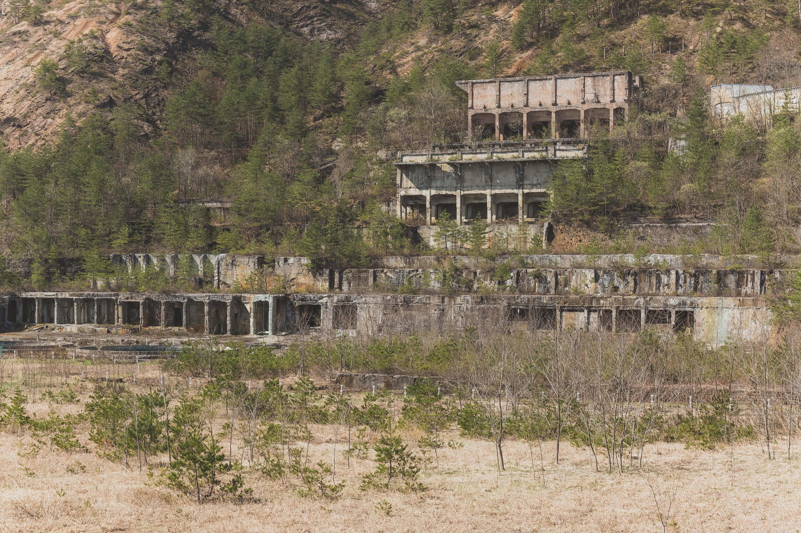 樹木に囲まれた廃墟の鉱山施設。複数階のコンクリート建物が山に建つ