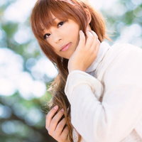 木漏れ日と森ガールの写真