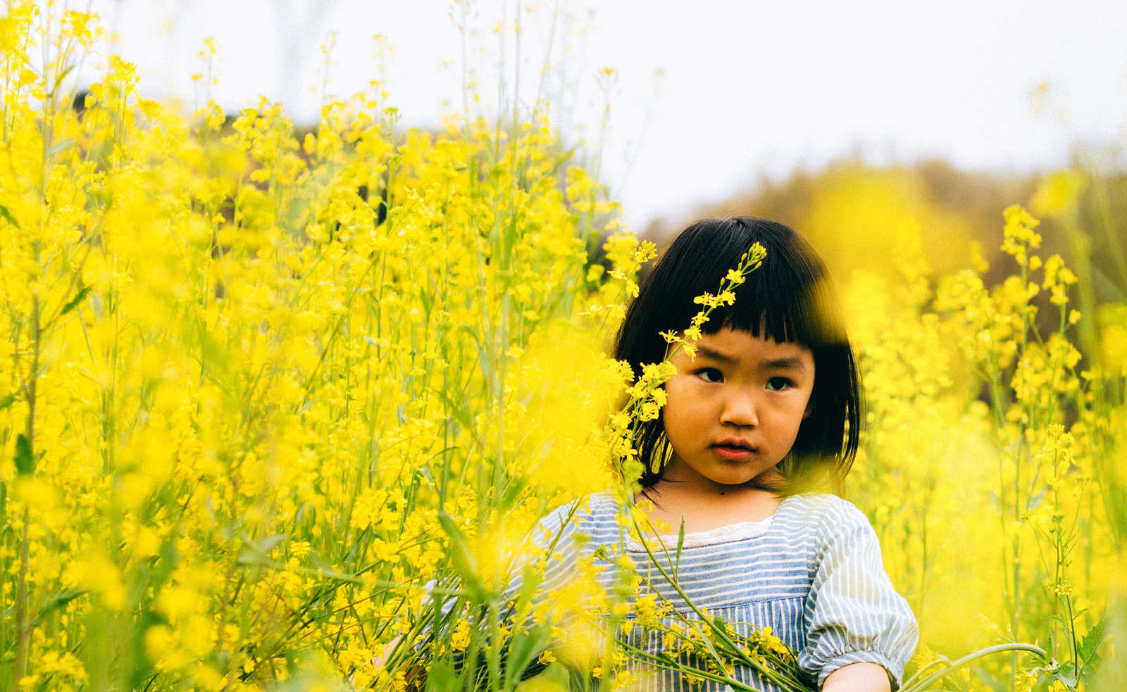 菜の花畑の中に立つ前髪パッツンの女の子の写真［モデル：あんじゅ］