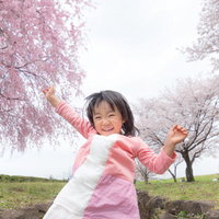 桜並木の下で両手を広げて喜ぶ女の子の写真