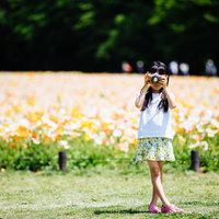 アイスランドポピーの花畑でカメラを構える少女の写真