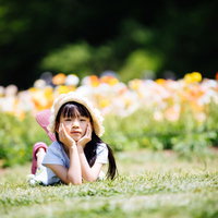 アイスランドポピーの花前で麦わら帽子をかぶってくつろぐ女の子の写真