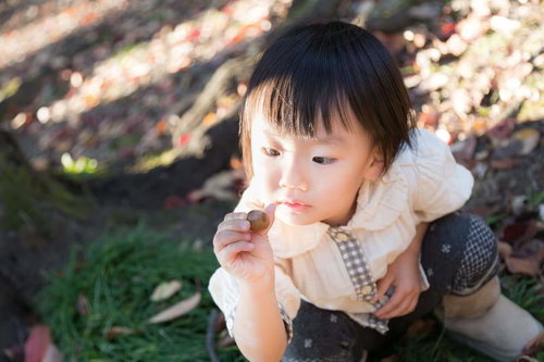 大きなどんぐり見つけたよ！