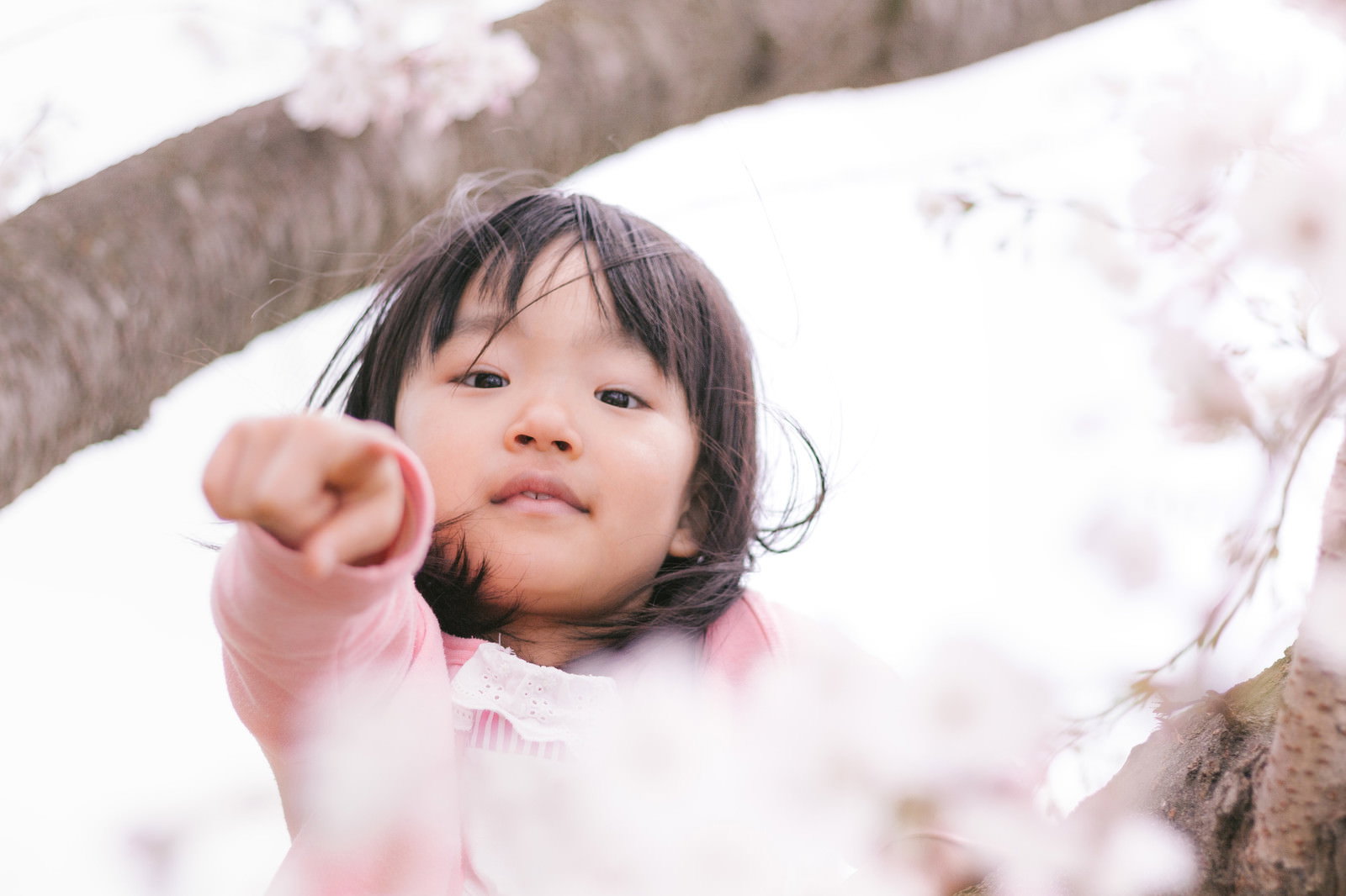 桜の下でピンクの上着を着た女の子が上を指さす［モデル：あんじゅ］