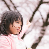 春の花見で桜の下に立つ女の子のポートレートの写真