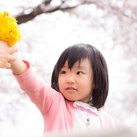 たんぽぽで花束作ったよ！の写真