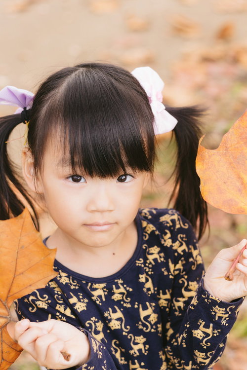 秋の落葉とツインテールの女の子が紅葉を手に持つ屋外風景