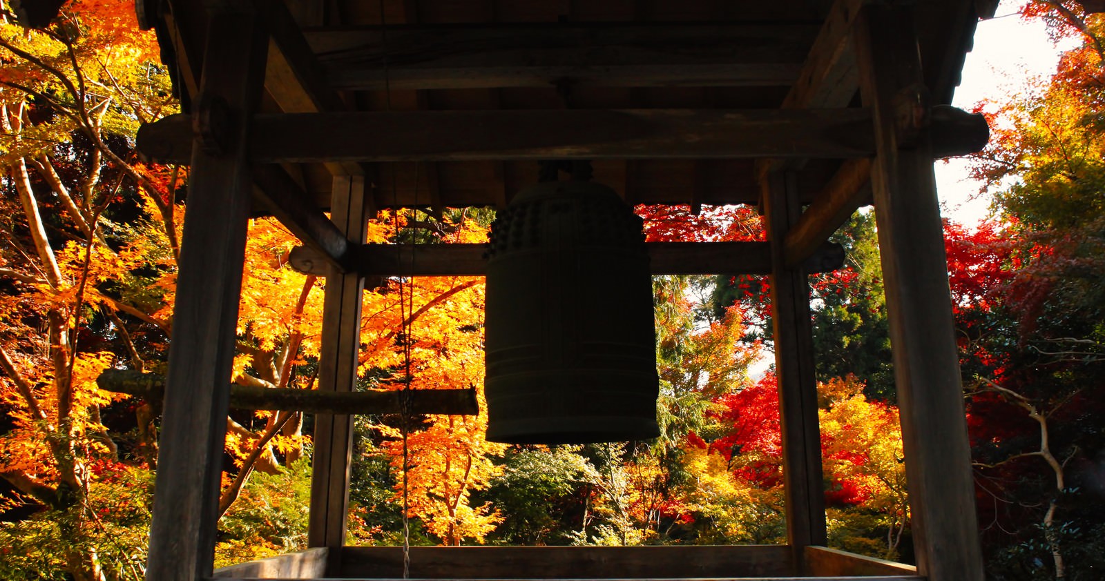 木製の鐘楼に吊るされた鐘のシルエットと背景に逆光で色鮮やかな紅葉が見える