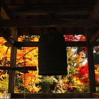 紅葉と逆光に浮かぶ寺の鐘楼のシルエットの写真