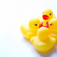 黄色いあひるちゃんが円陣を組んで団結するチーム風景の写真