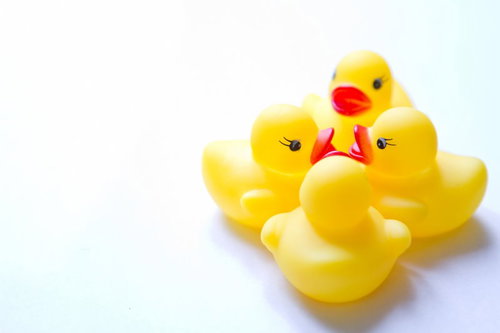 黄色いあひるちゃんが円陣を組んで団結するチーム風景