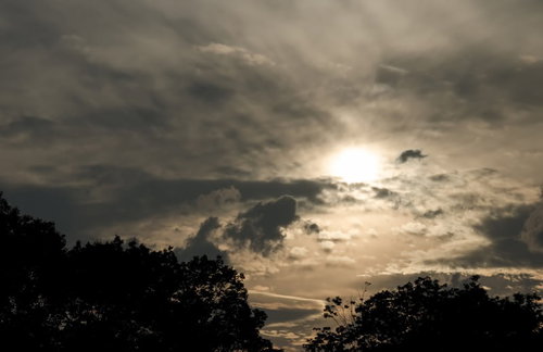 地平線に太陽が沈む赤とオレンジに染まる日が落ちる空
